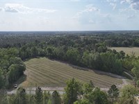 3.76 Acres, Tract 4, Spring Branc : Baxley : Appling County : Georgia