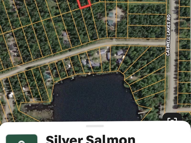 Silver Salmon : Willow : Matanuska-Susitna Borough : Alaska