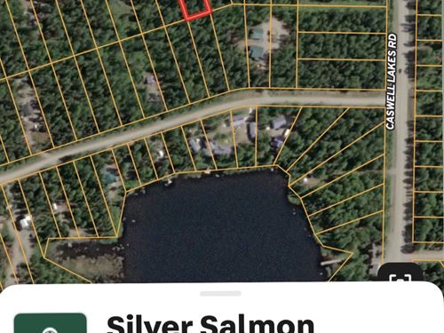 Silver Salmon : Willow : Matanuska-Susitna Borough : Alaska