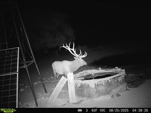 The Muncy Ranch : Cedarvale : Torrance County : New Mexico