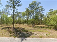 Say Yes to Dunnellon Land $299 Down : Dunnellon : Marion County : Florida