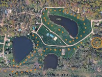 Dollar Auction, 63 Residential Lot : Holland : Erie County : New York
