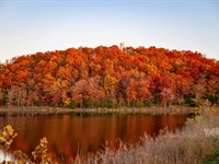 .33 Ac, Build Near The Lake, AR : Horseshoe Bend : Izard County : Arkansas