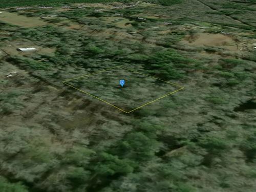 2 Acres in Hardin County TX : Silsbee : Hardin County : Texas