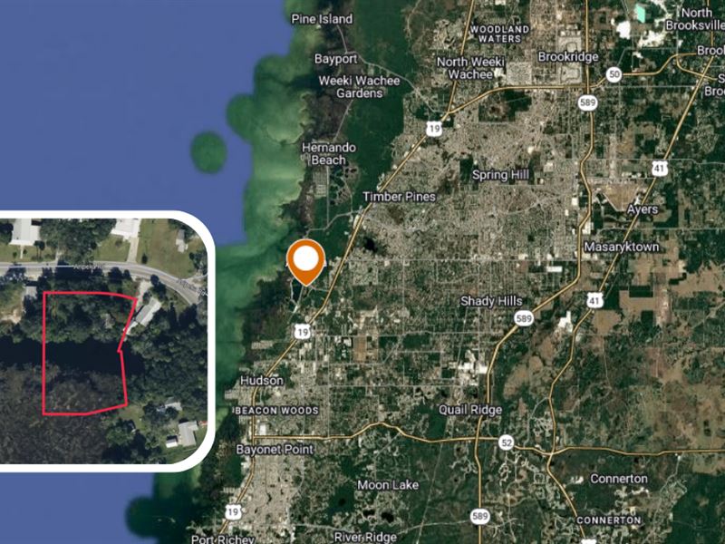 Aripeka Rd Coastal Homesite Acreage : Hudson : Pasco County : Florida