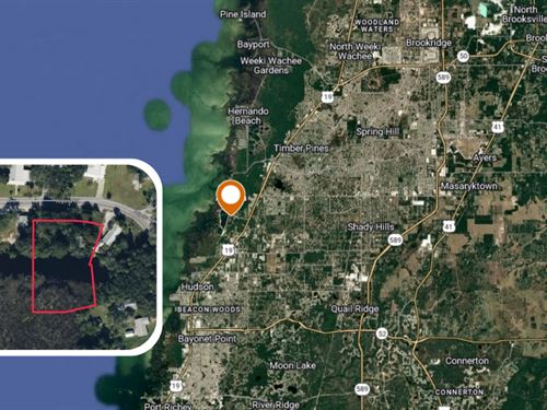 Aripeka Rd Coastal Homesite Acreage : Hudson : Pasco County : Florida