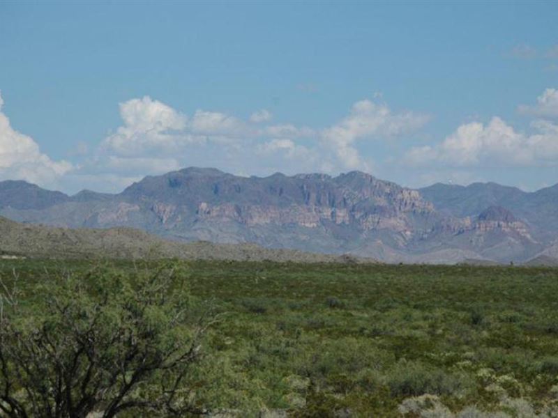 15 Minutes to I-10, Electricity : Sierra Blanca : Hudspeth County : Texas