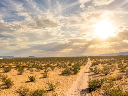 Quiet Golden Valley, AZ Retreat : Golden Valley : Mohave County : Arizona