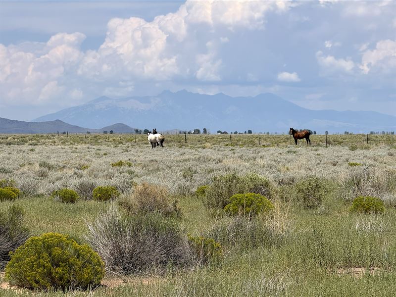 Tiny Homes, Mobile Homes, & Camping : San Luis : Costilla County : Colorado