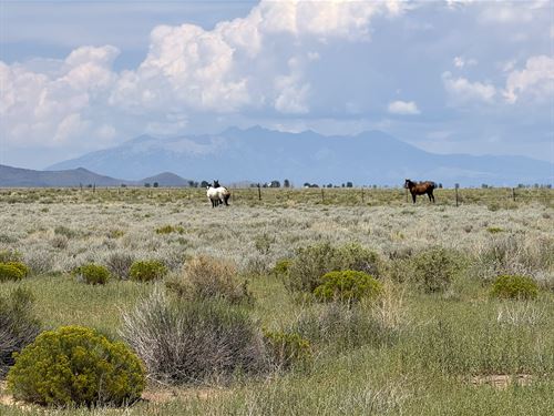 Tiny Homes, Mobile Homes, & Camping : San Luis : Costilla County : Colorado