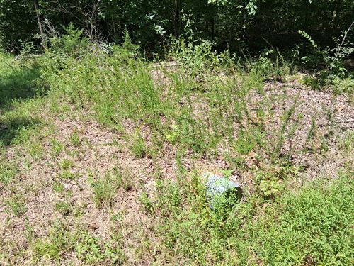 Premium RV Lot Near KY Lake : New Concord : Calloway County : Kentucky