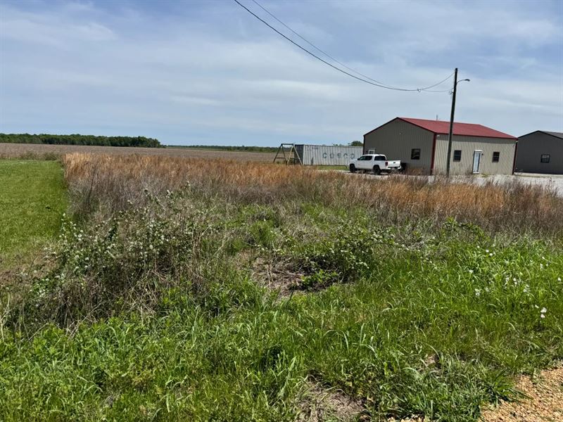 .29 Acre Lot 11 in Tensas Paris : Newellton : Tensas Parish : Louisiana