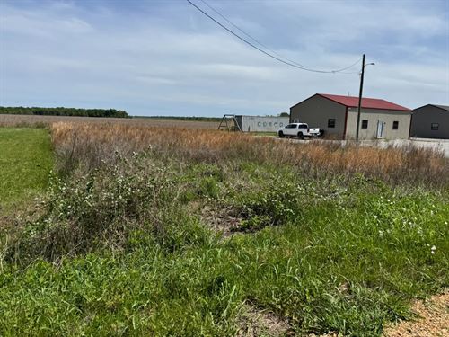 .29 Acre Lot 11 in Tensas Paris : Newellton : Tensas Parish : Louisiana