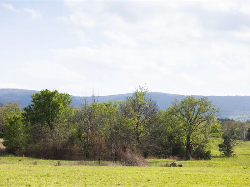 120 Acres in Pushmataha County, OK : Albion : Pushmataha County : Oklahoma