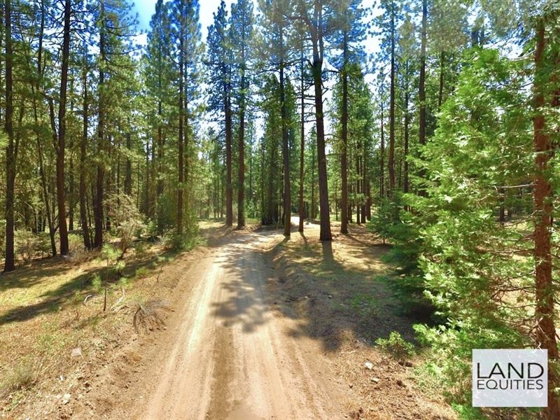 Park Like Retreat in The Woods : Bonanza : Klamath County : Oregon