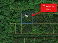 Prime Investment Opportunity : Anniston : Calhoun County : Alabama