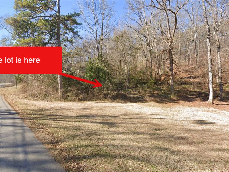 Exceptional Investment Opportunity : Anniston : Calhoun County : Alabama