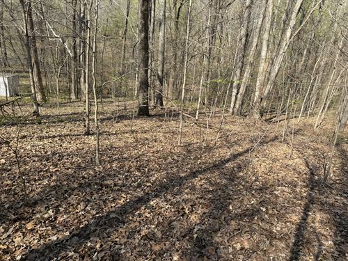 Nearly Waterfront Cove Lot : Cadiz : Calloway County : Kentucky