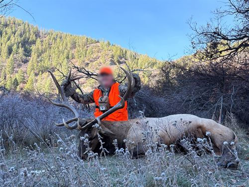 Elk Wallows Ranch : Rifle : Garfield County : Colorado