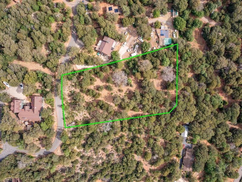 Oak Woodland Home Site : Julian : San Diego County : California
