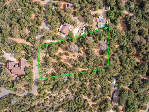 Oak Woodland Home Site : Julian : San Diego County : California