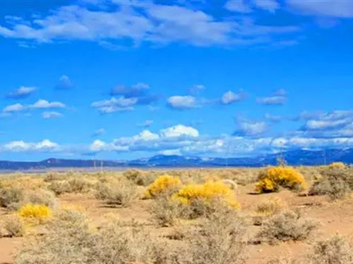 1 Acre Affordable Colorado Land : Alamosa : Colorado