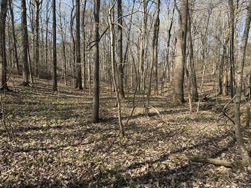 Affordable Lake Barkley Area Lot : Cadiz : Trigg County : Kentucky