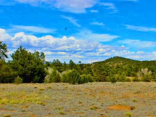 2.49 Acres Colorado Treed Land : Cotopaxi : Fremont County : Colorado