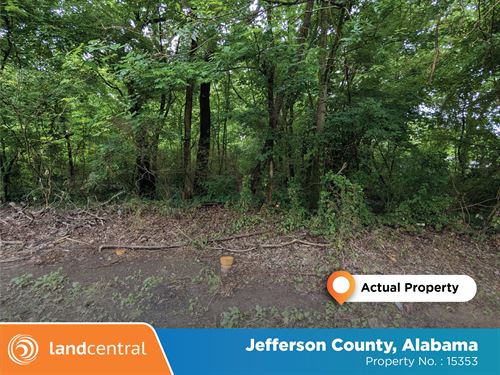 1.38 Acre Backing a Lovely Pond : Birmingham : Jefferson County : Alabama