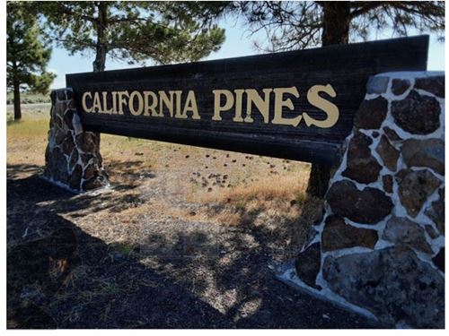 Modoc CA Fish Boat Entertainment : California Pines : Modoc County : California