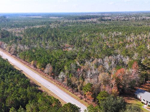 3 Wooded Acres with Power & Water : Maple Hill : Onslow County : North Carolina