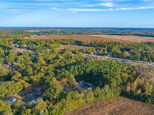 Paved Access & Utilities Nearby : Springfield : Orangeburg County : South Carolina