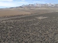 4.85 Acre Homestead Near Winnemucca : Winnemucca : Humboldt County : Nevada