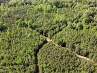 Whispering Timber Haven : Bogue Chitto : Lincoln County : Mississippi