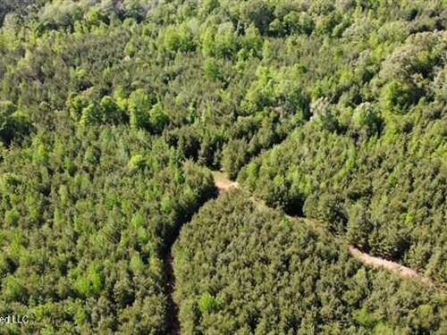 Whispering Timber Haven : Bogue Chitto : Lincoln County : Mississippi