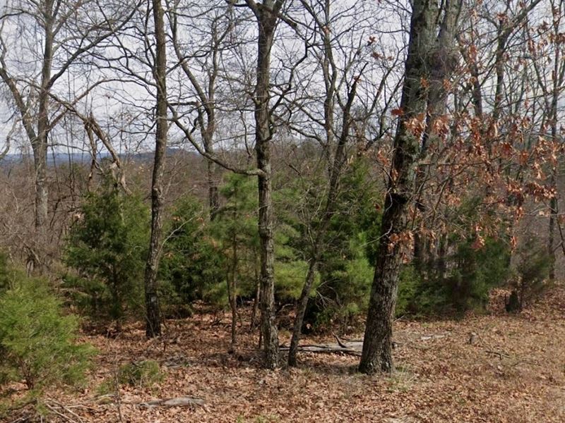 .63 Acres Holiday Island Golf/Lake : Holiday Island : Arkansas County : Arkansas