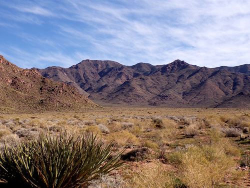 2.5 Acres Lake Mead Owner Financing : Meadview : Mohave County : Arizona