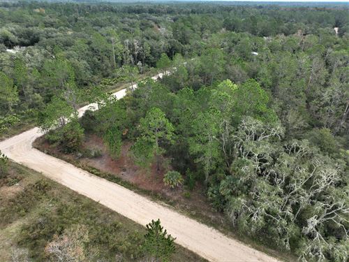 Double Lot in Interlachen : Interlachen : Putnam County : Florida