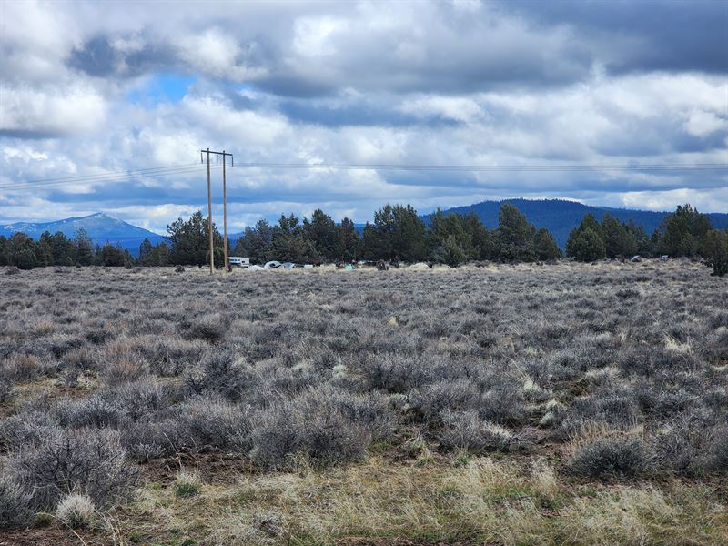 Flat Land, Big Views, $250 Down : Sprague River : Klamath County : Oregon