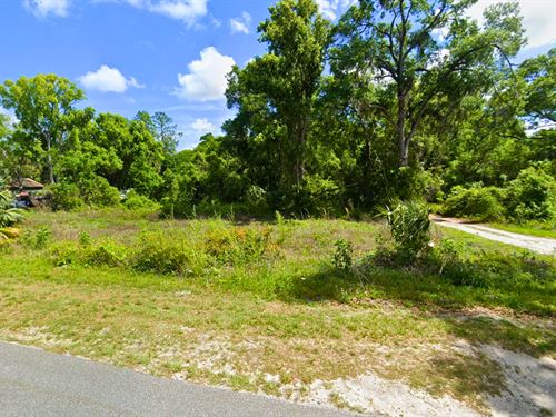 Budget-Friendly Florida Land : Satsuma : Putnam County : Florida