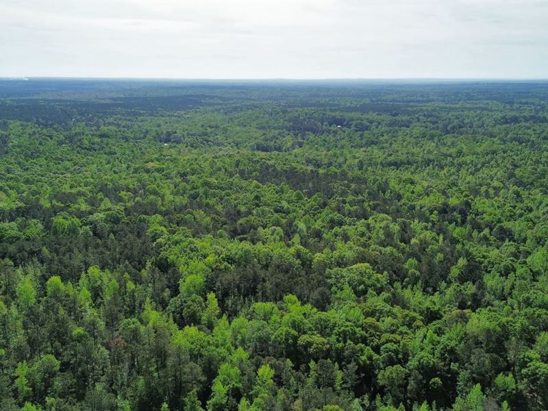 12 Acres Three Tracts Lee Co : Salem : Lee County : Alabama