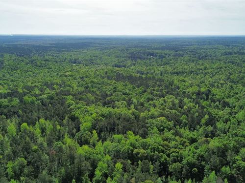 12 Acres Three Tracts Lee Co : Salem : Lee County : Alabama
