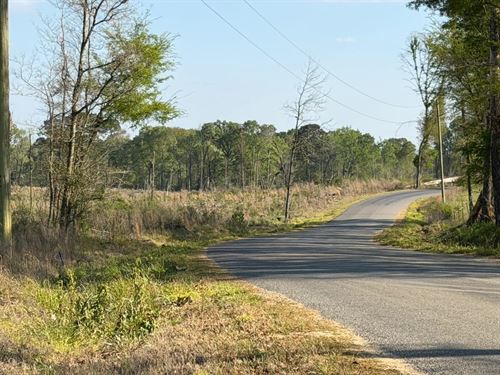 216 Acres in Rankin County in Brand : Brandon : Rankin County : Mississippi