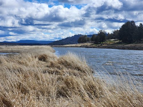 Hunt Ducks on Sprague River : Sprague River : Klamath County : Oregon