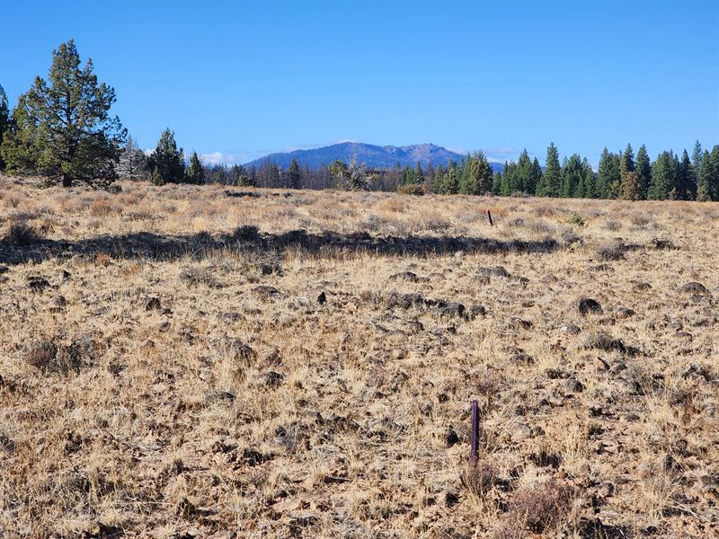 Off-Grid Hideaway in Southern OR : Chiloquin : Klamath County : Oregon