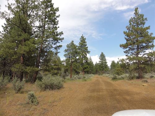 Own Your Slice of Oregon Freedom : Sprague River : Klamath County : Oregon