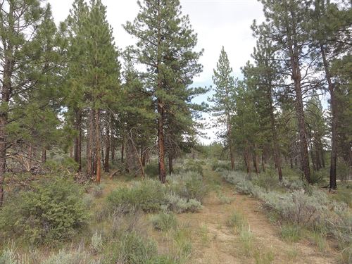 Freedom Land in Oregon : Sprague River : Klamath County : Oregon