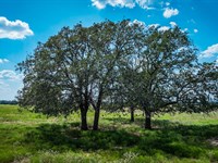 1+ Acres in Caldwell County, TX : Rosanky : Caldwell County : Texas