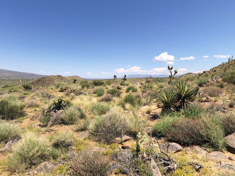 1 Acre Atv Basecamp $99/Mo : Dolan Springs : Mohave County : Arizona