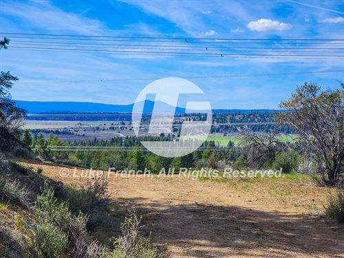 Five Bars and a Forest to Yourself : Beatty : Klamath County : Oregon